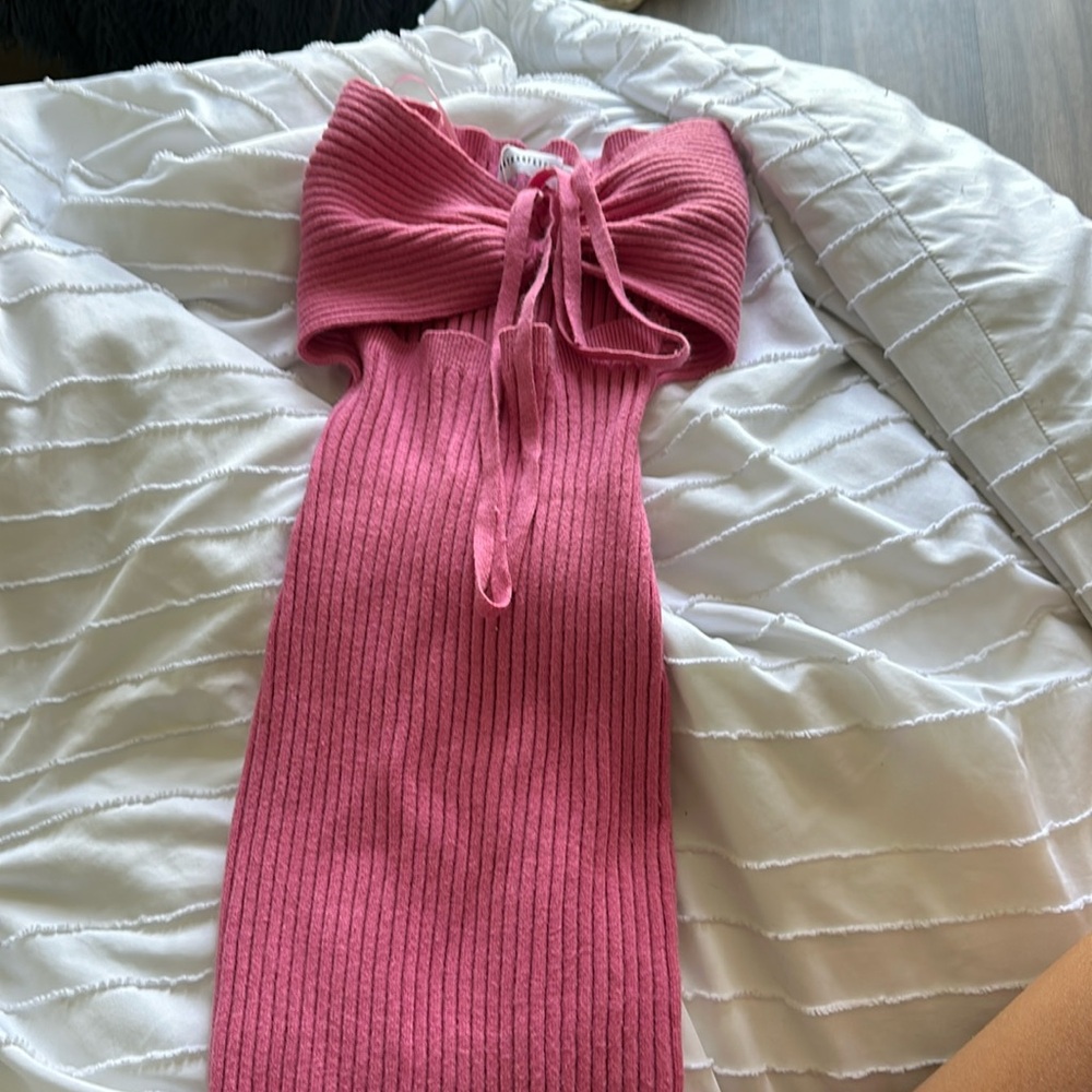 bodycon fitted pink that’s so fetch dress